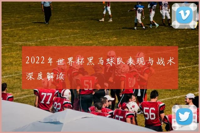 2022年世界杯黑马球队表现与战术深度解读
