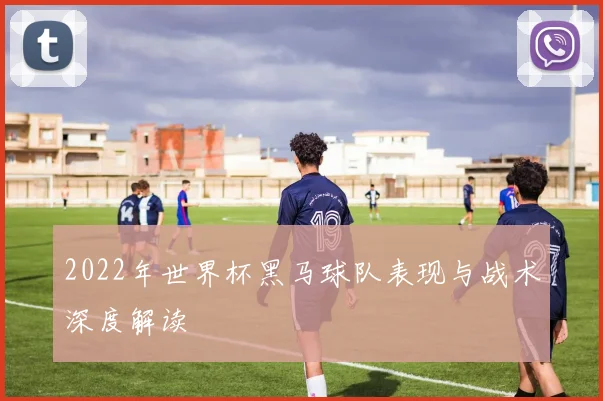 2022年世界杯黑马球队表现与战术深度解读